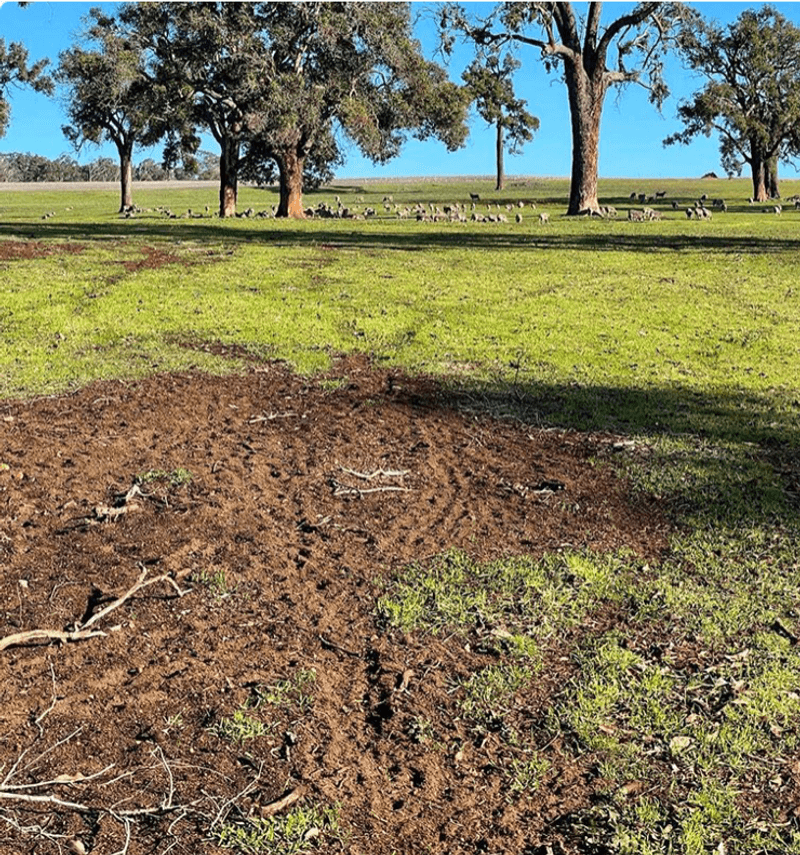 Soil Compaction Worsens In Dry Conditions