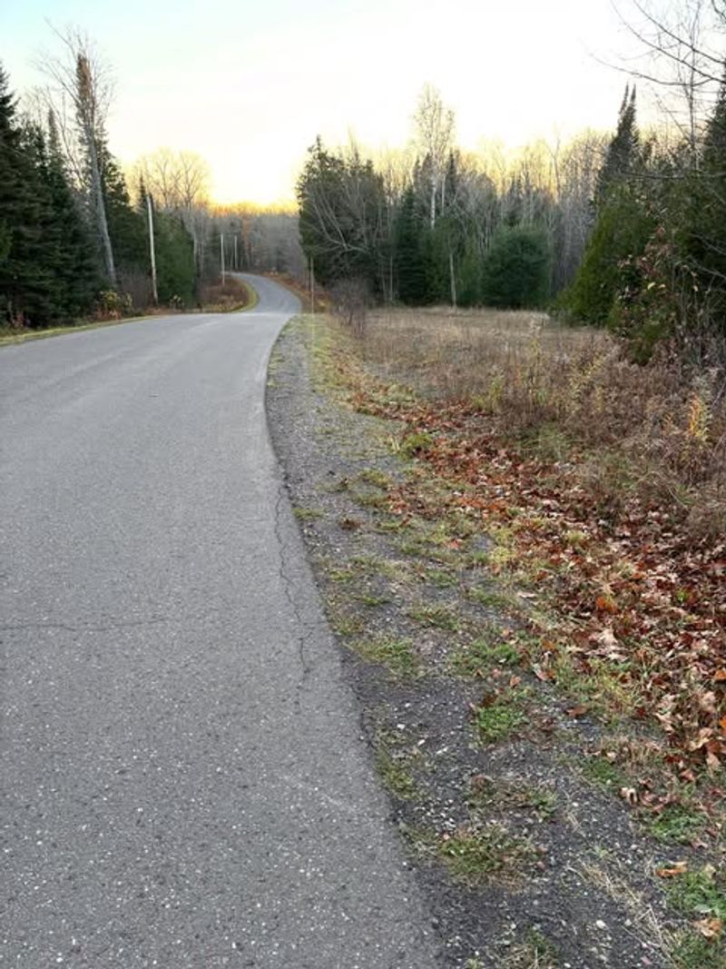 Trees Obstructing Traffic Visibility