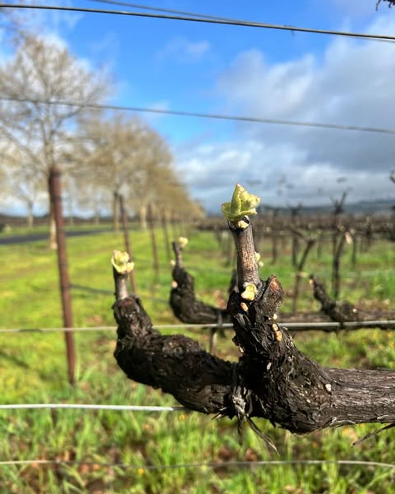 Extended Growing Seasons