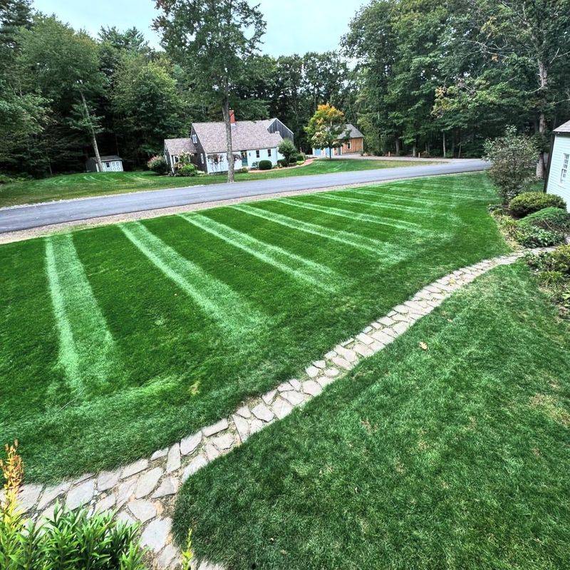 Choose The Right Grass For Indiana Lawns