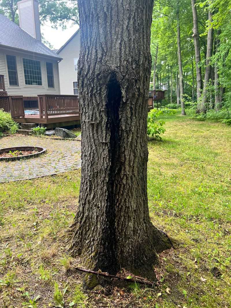 Preventive Maintenance Protects Everyone