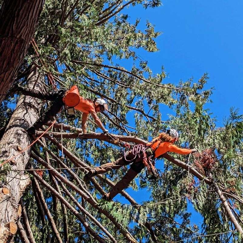 When To Call A Professional