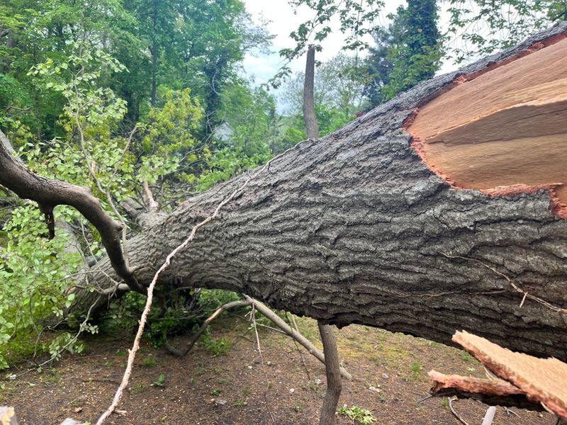 Your Insurance Usually Covers Your Property First