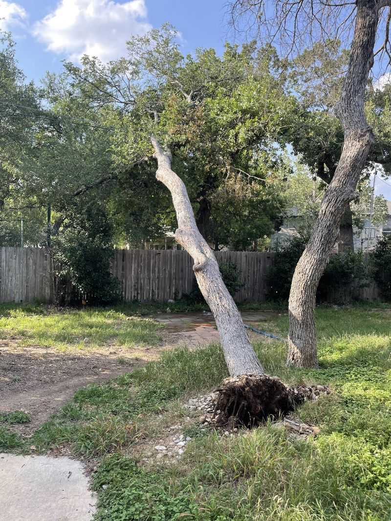 Contact Your Insurance Company First