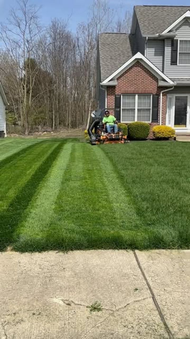 Mow In Different Directions