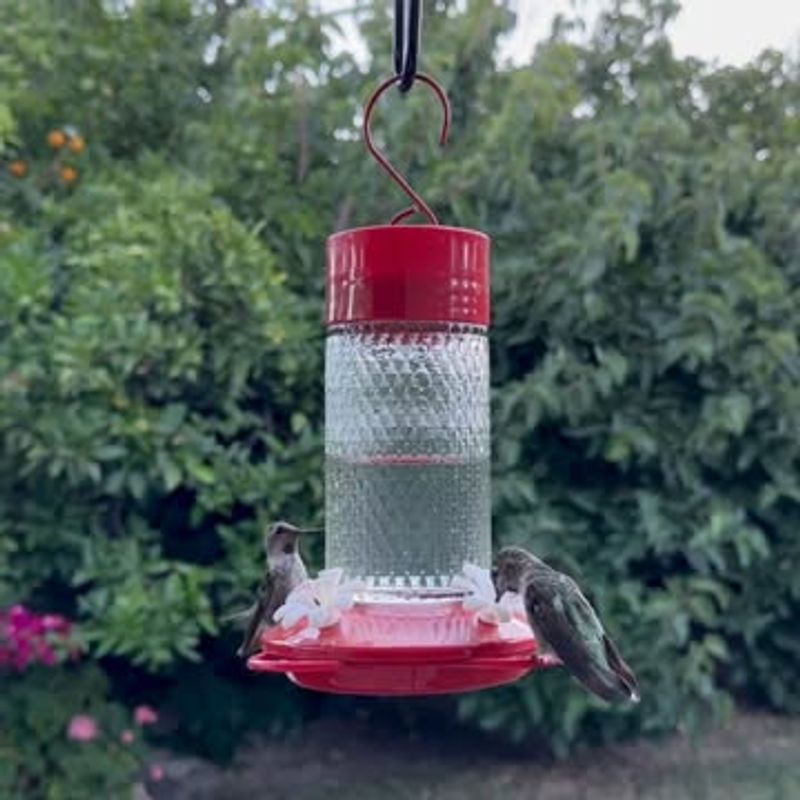 Clean Feeders Before Storing Them Away