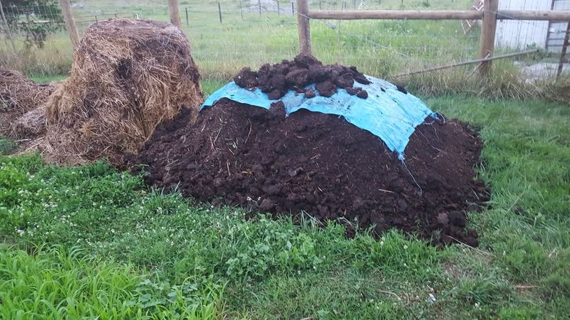 Amend Soil With Compost
