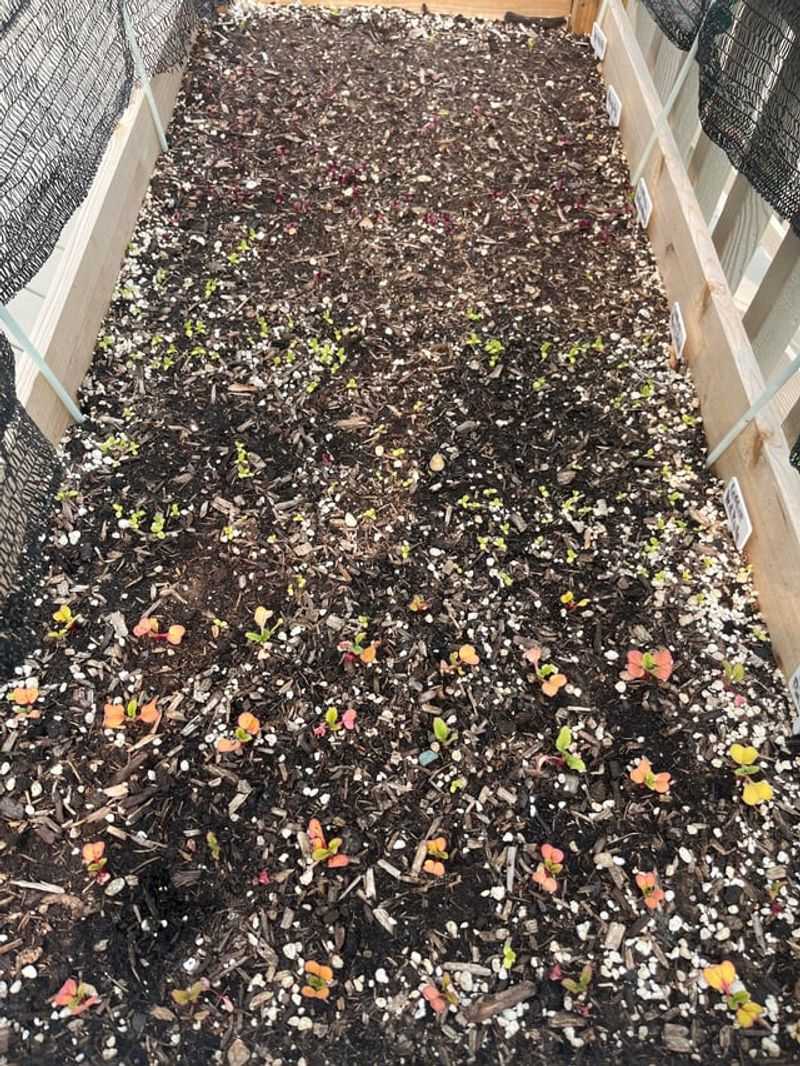 Nutrient Availability Takes A Nosedive