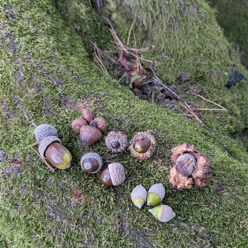 Reduced Pest Populations