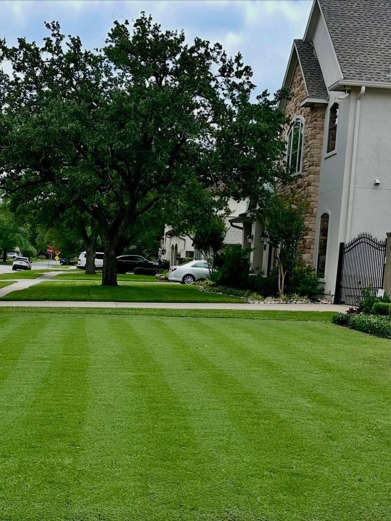 Stronger Root Development During Dormancy