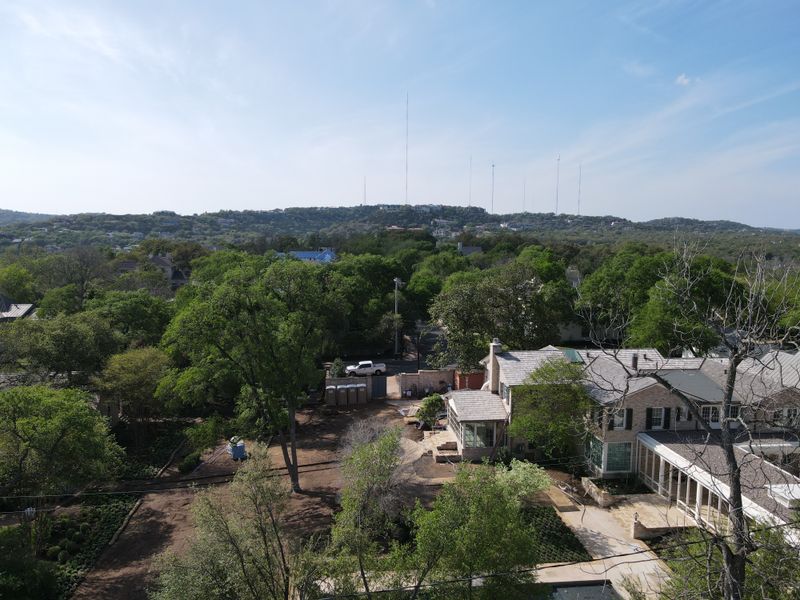 Tarrytown: Where Old Trees Meet Classic Homes
