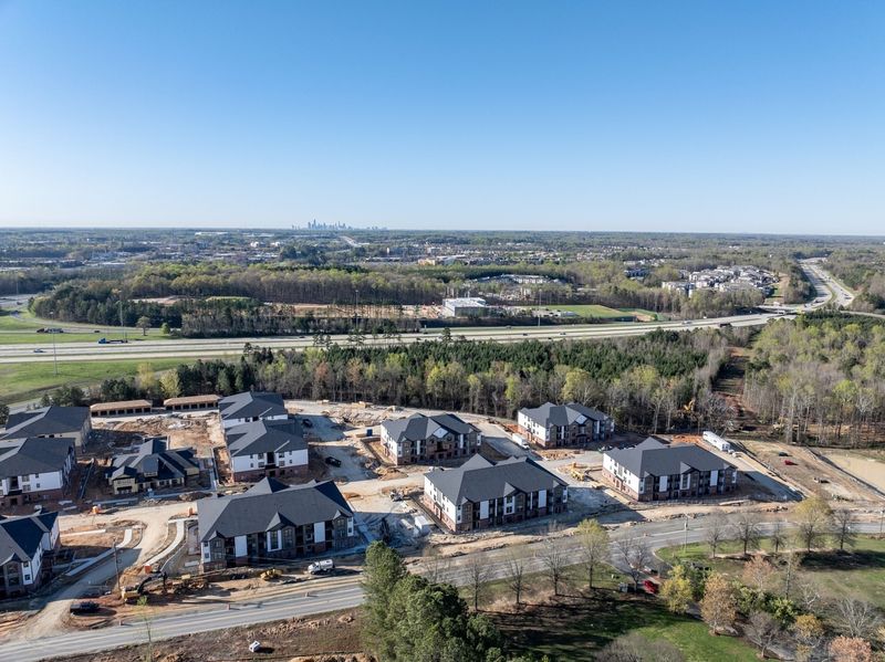 Fewer Natural Predators