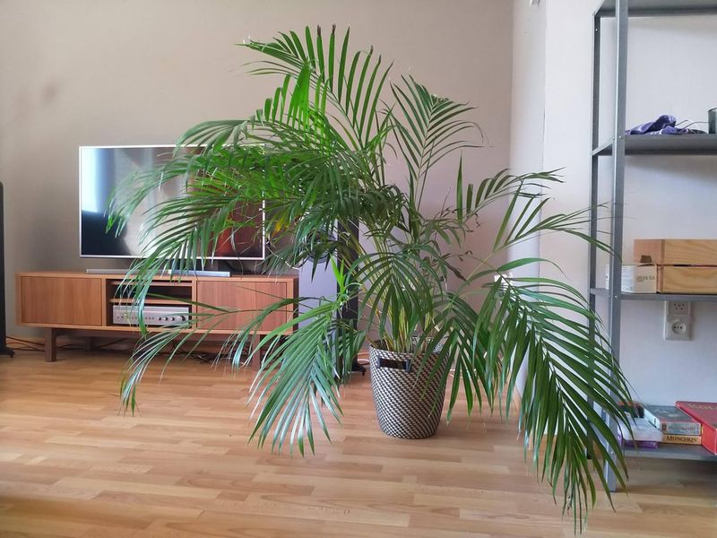 Perfect Size For Any Room