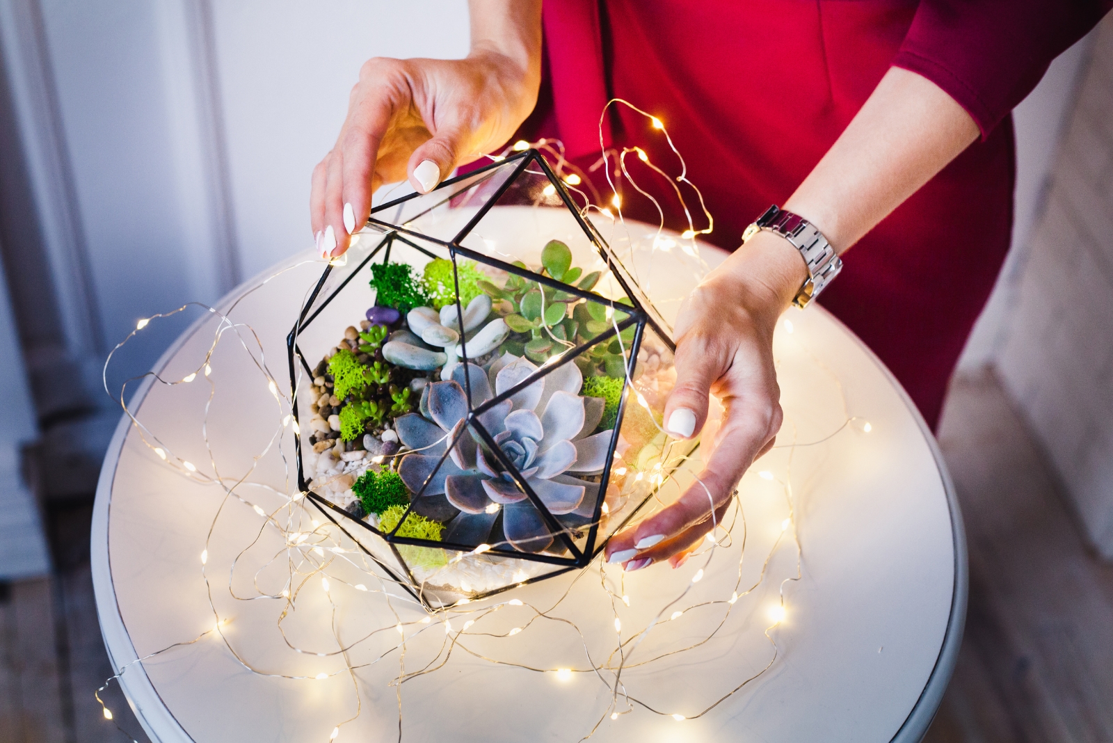 Easy Last Minute DIY Gifts You Can Create Using Indoor Plants