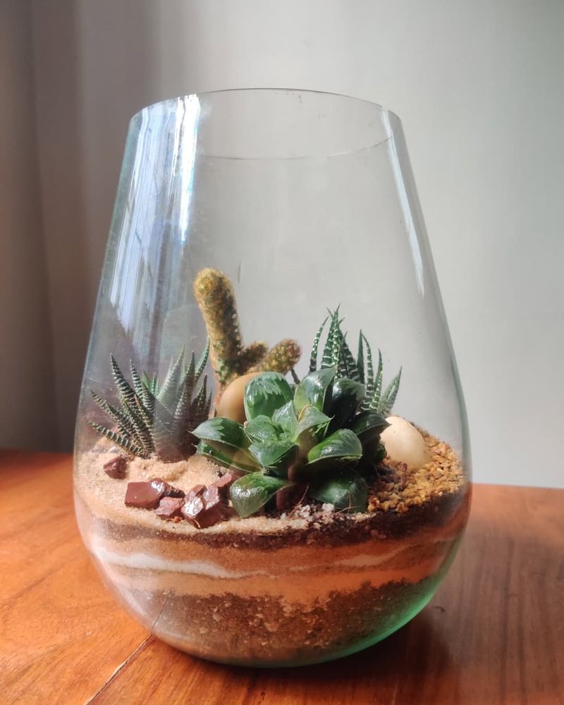 #1 Succulent Terrariums In Glass Jars