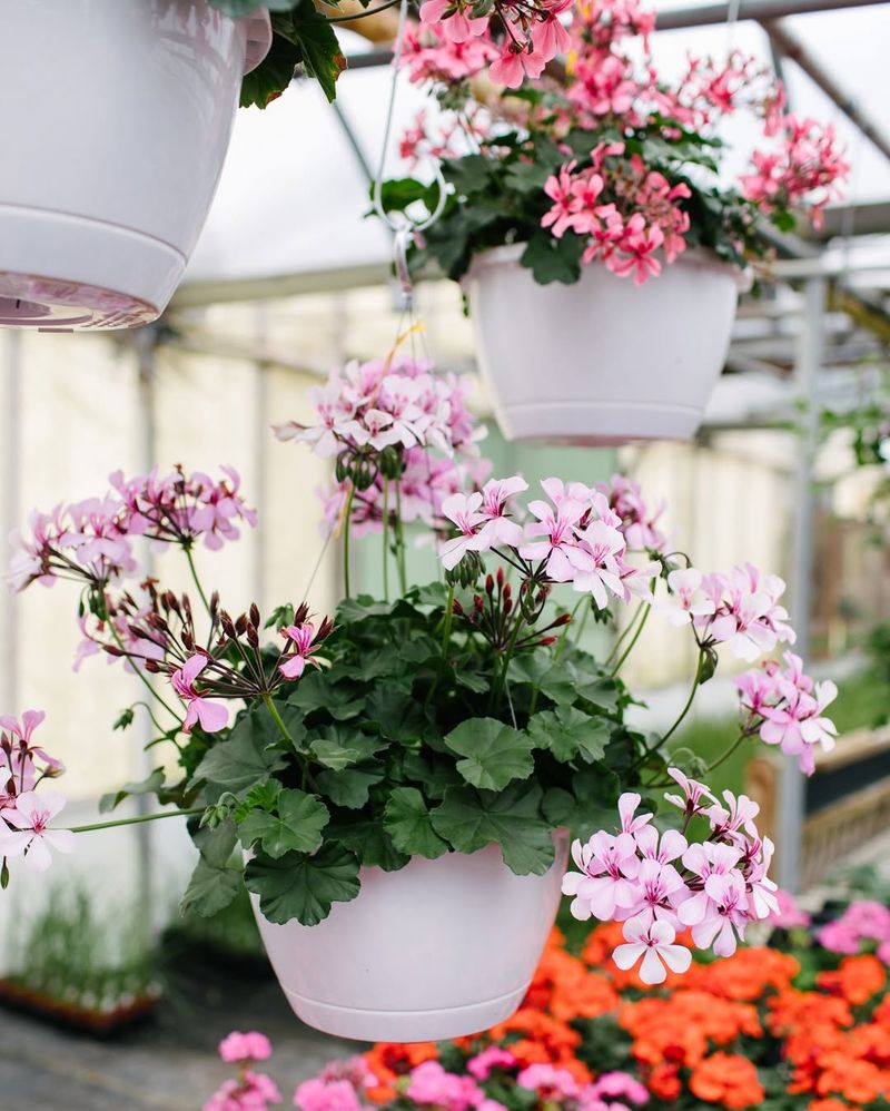 Versatile Design Options