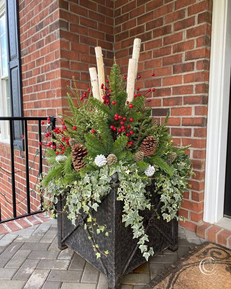 Long-Lasting Displays Throughout The Holiday Season