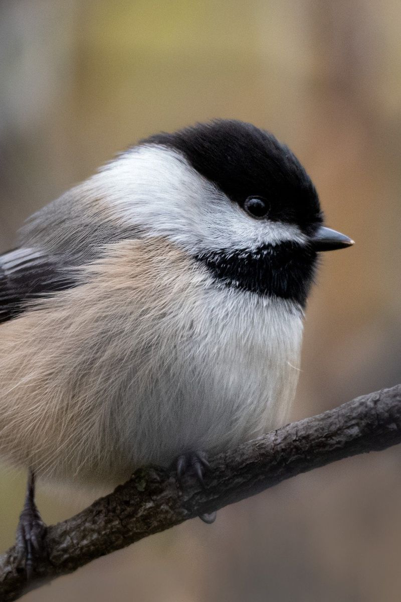 Less Mess And Waste In Your Yard