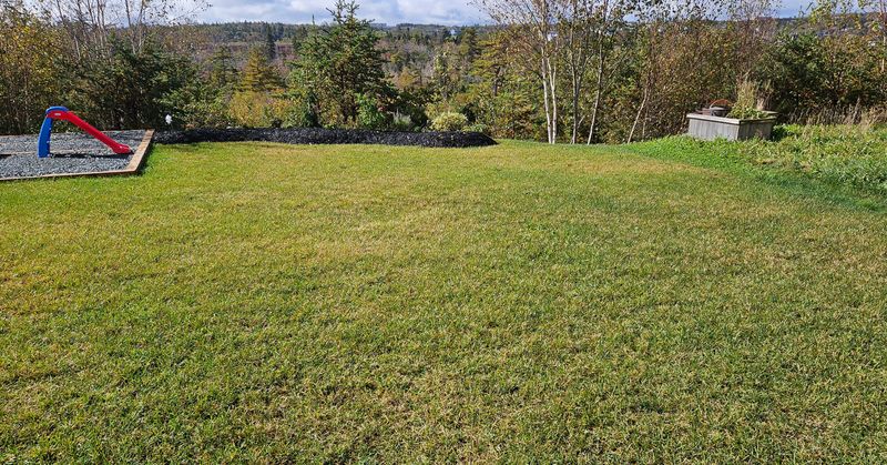 Natural Pest Deterrent For Winter Preparation