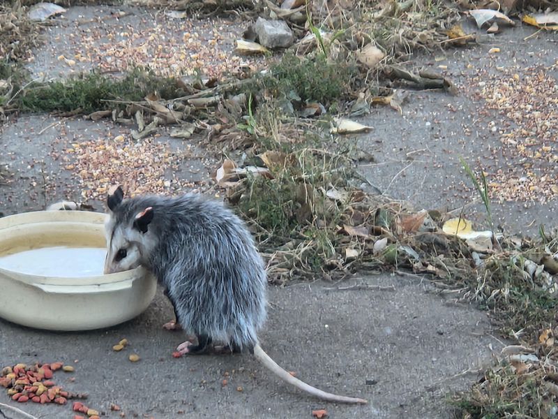 Property Damage Assessment