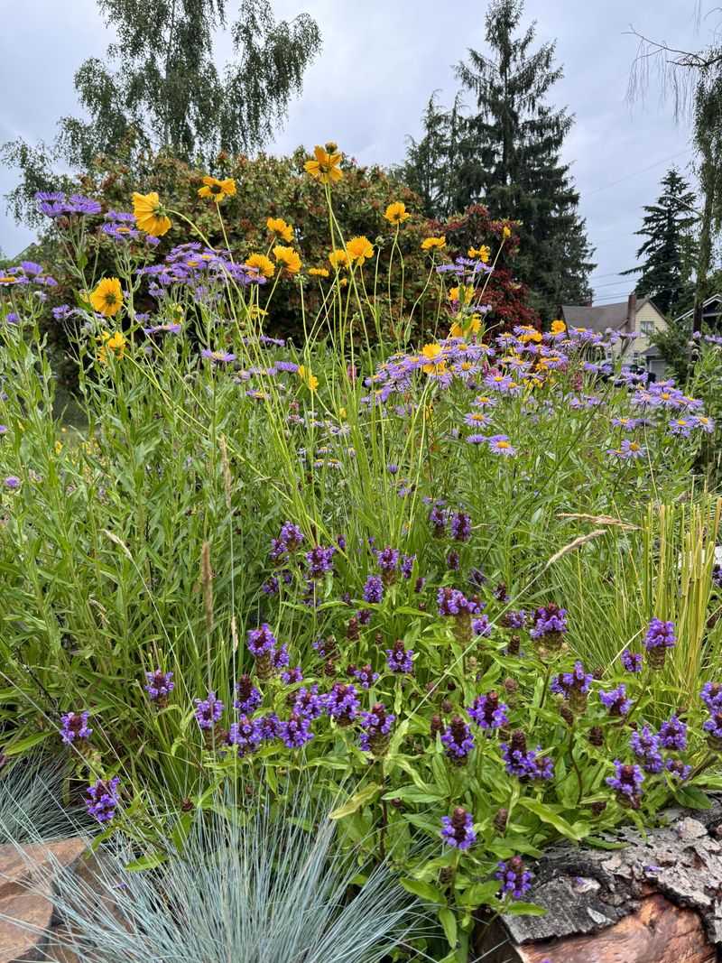 Climate Resilience Protects Your Landscape Investment Long-Term