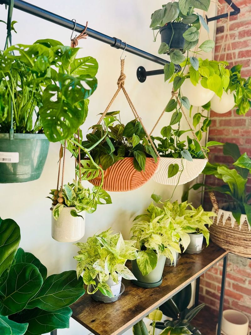 Community Corner For Plant Swaps