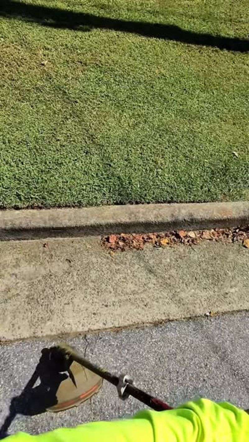 Discourages Pesky Garden Weeds