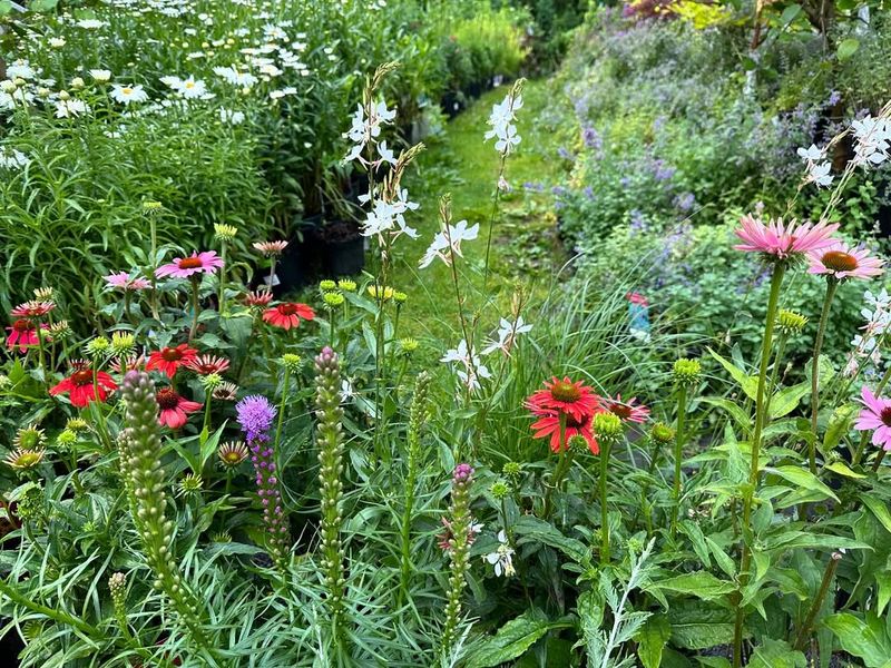 Color Palettes Inspired By The Prairie