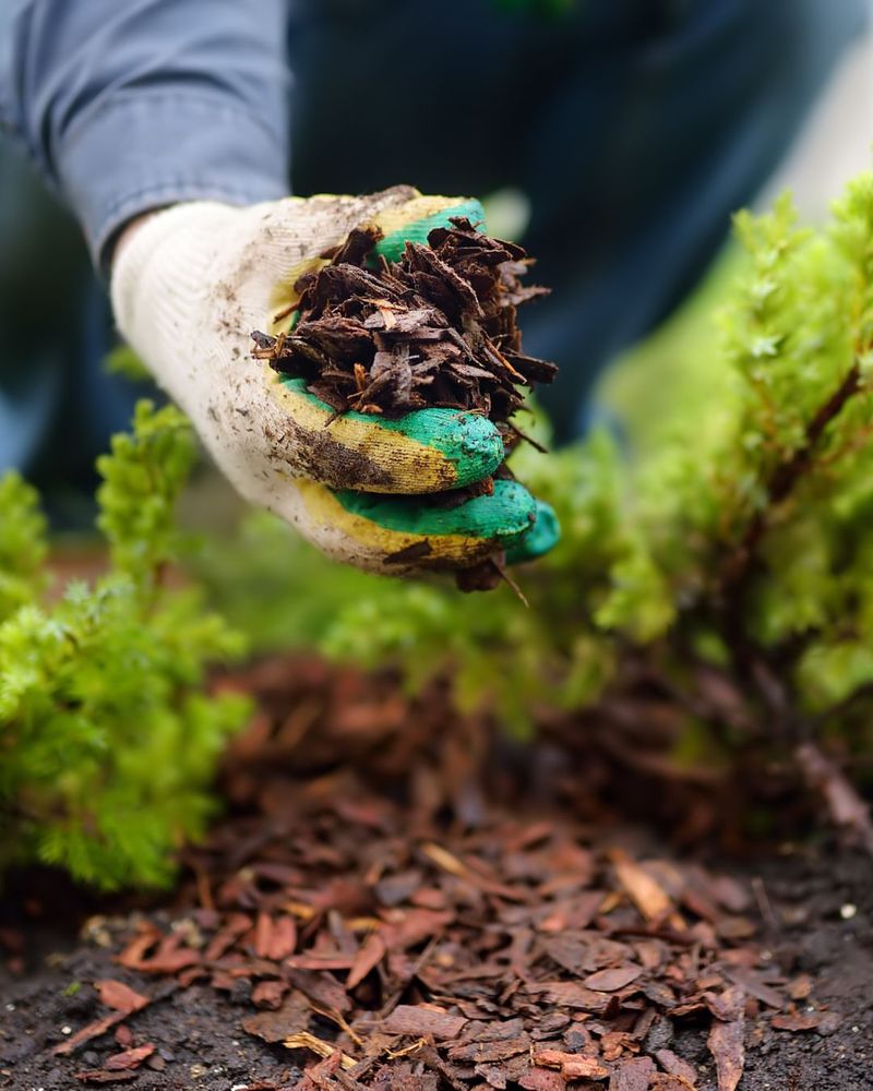 Reduces Weeds And Prevents Soil Erosion