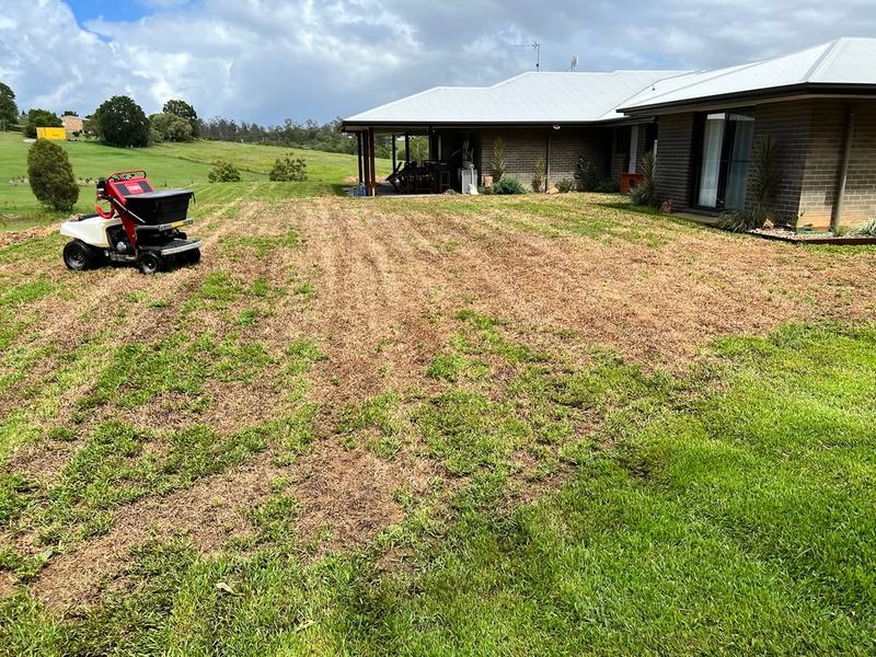 Reduces Thatch Buildup Over Time