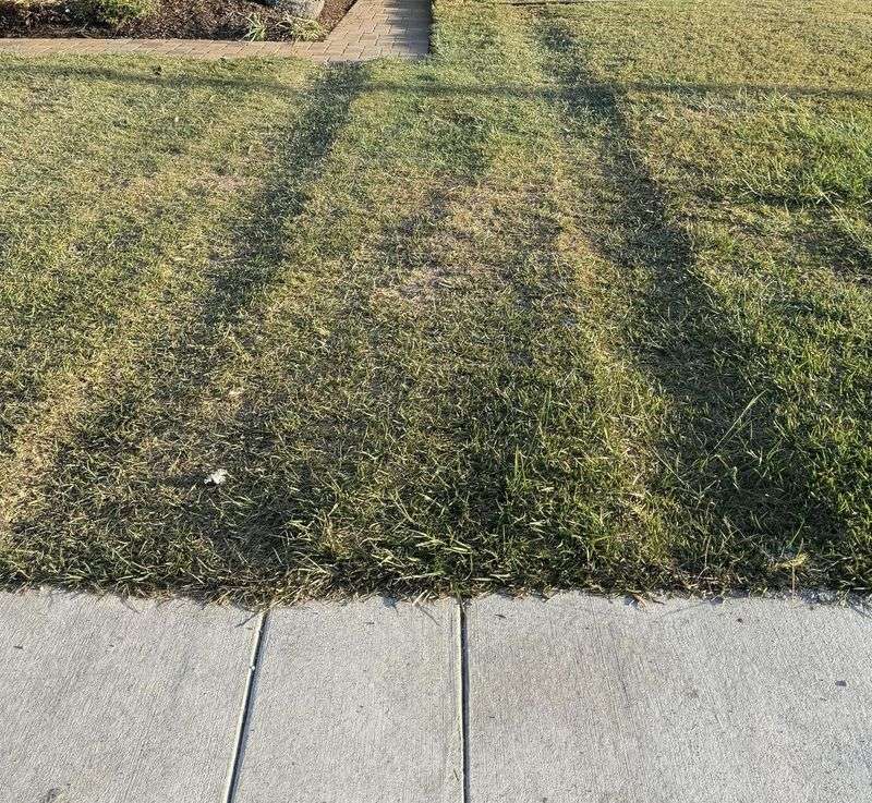 Eliminates Rut Formation Before Freeze