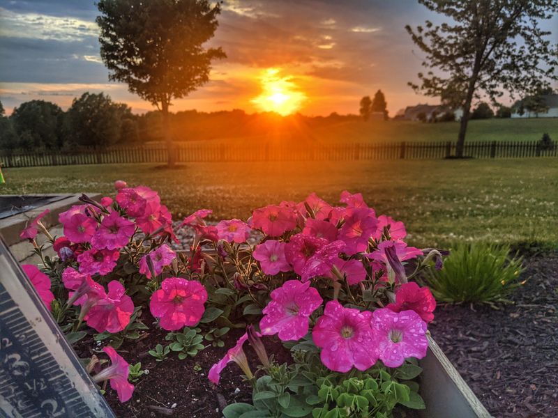 Low Maintenance Requirements Save Time