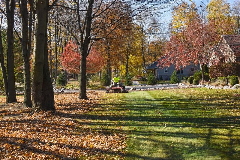 Wildlife And Lawn Recovery Need Protection