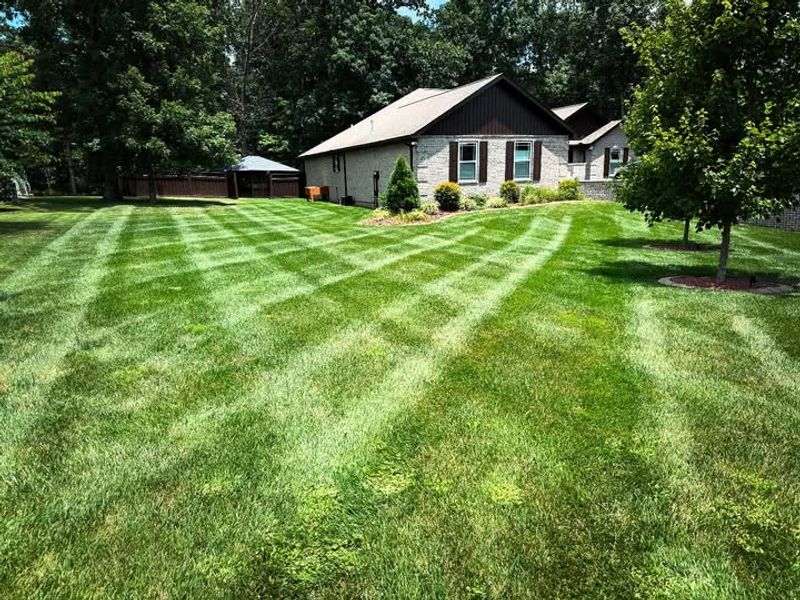 Creates Uniform Appearance And Professional Look