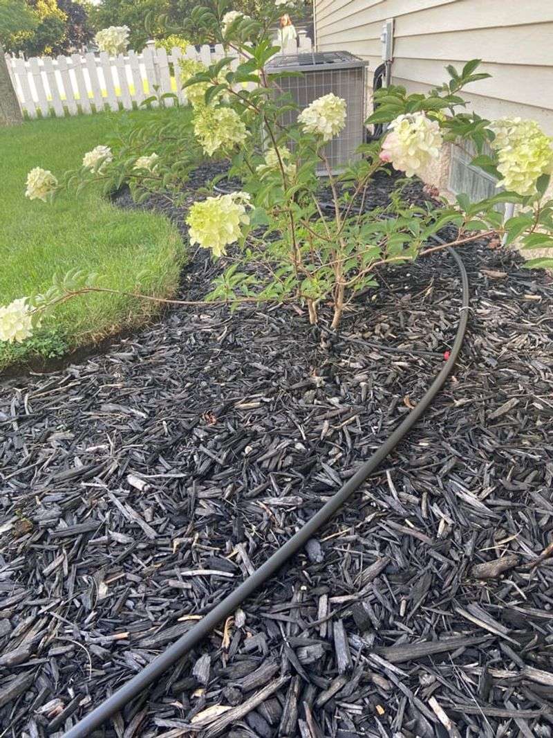 Stops Weeds Before Spring Arrives