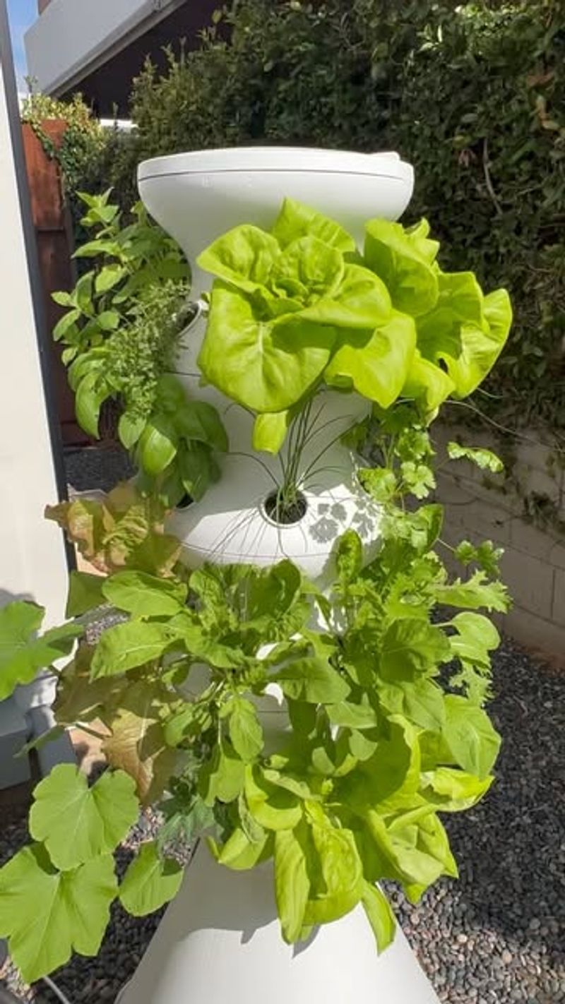 Conserving Precious Water Resources