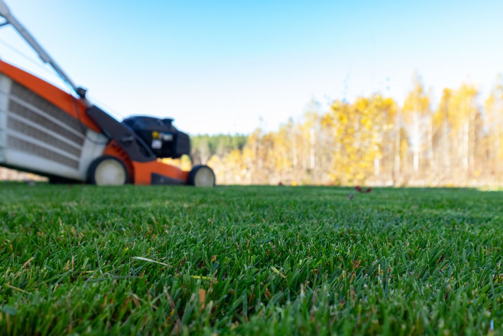 6 Essential November Lawn Mowing Rules For Michigan Homeowners