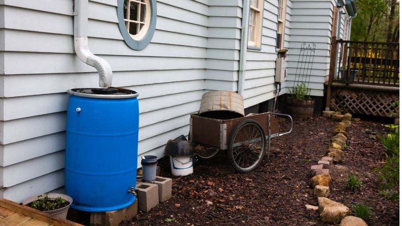 Set Up A Rainwater Collection System