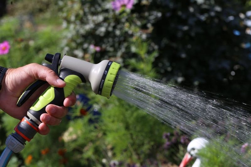 Timing Your Final Deep Watering Session