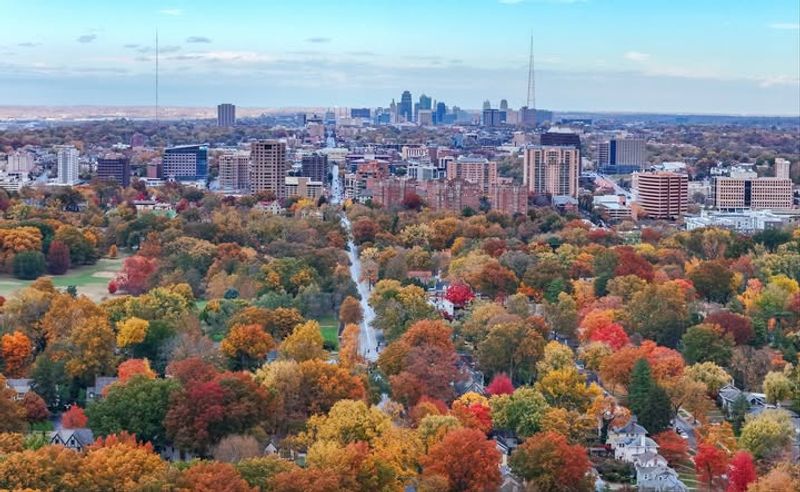 Adequate Rainfall Keeping Trees Hydrated And Active
