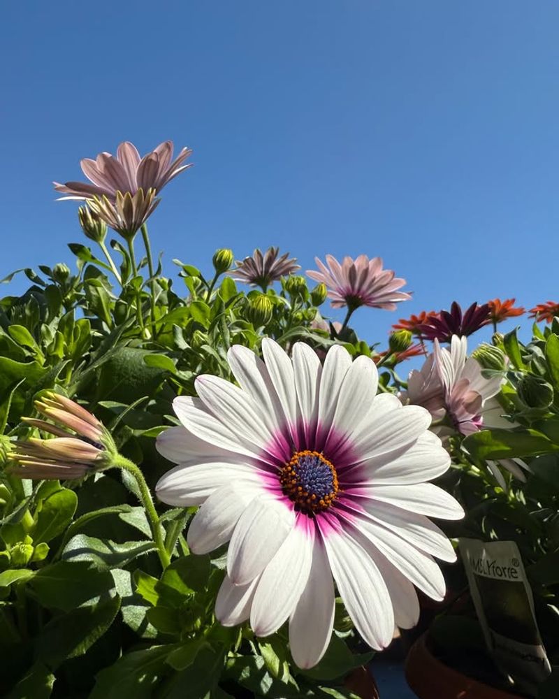 Minimal Frost Exposure