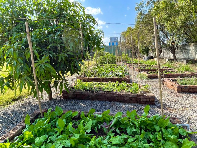 Works Perfectly With Organic Gardening Methods