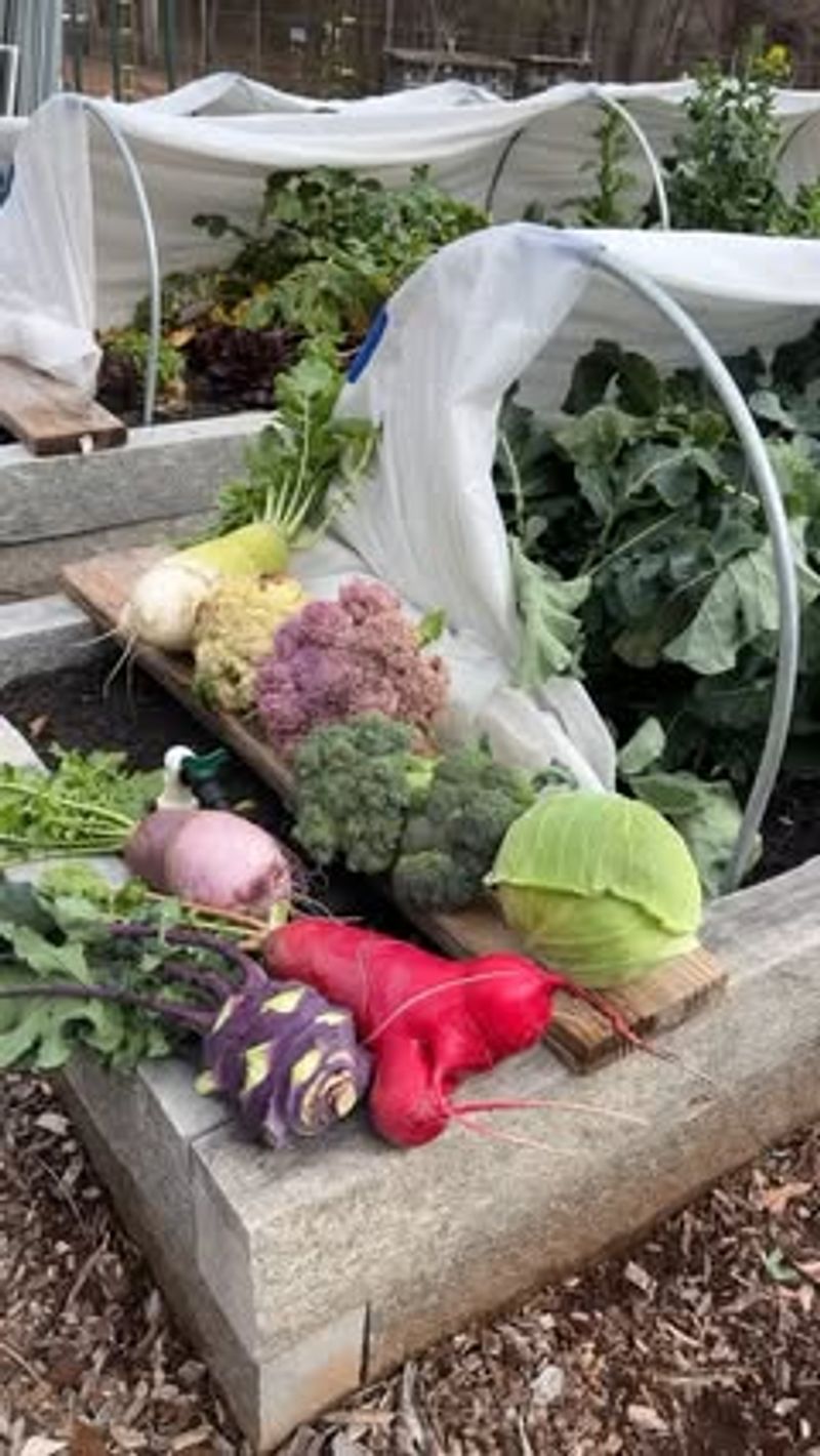 Easy to Install and Remove