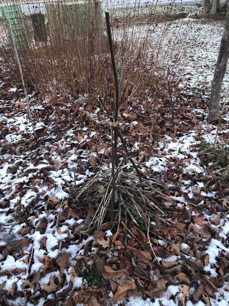 Heavy Snowfall Needs A Buffer Layer