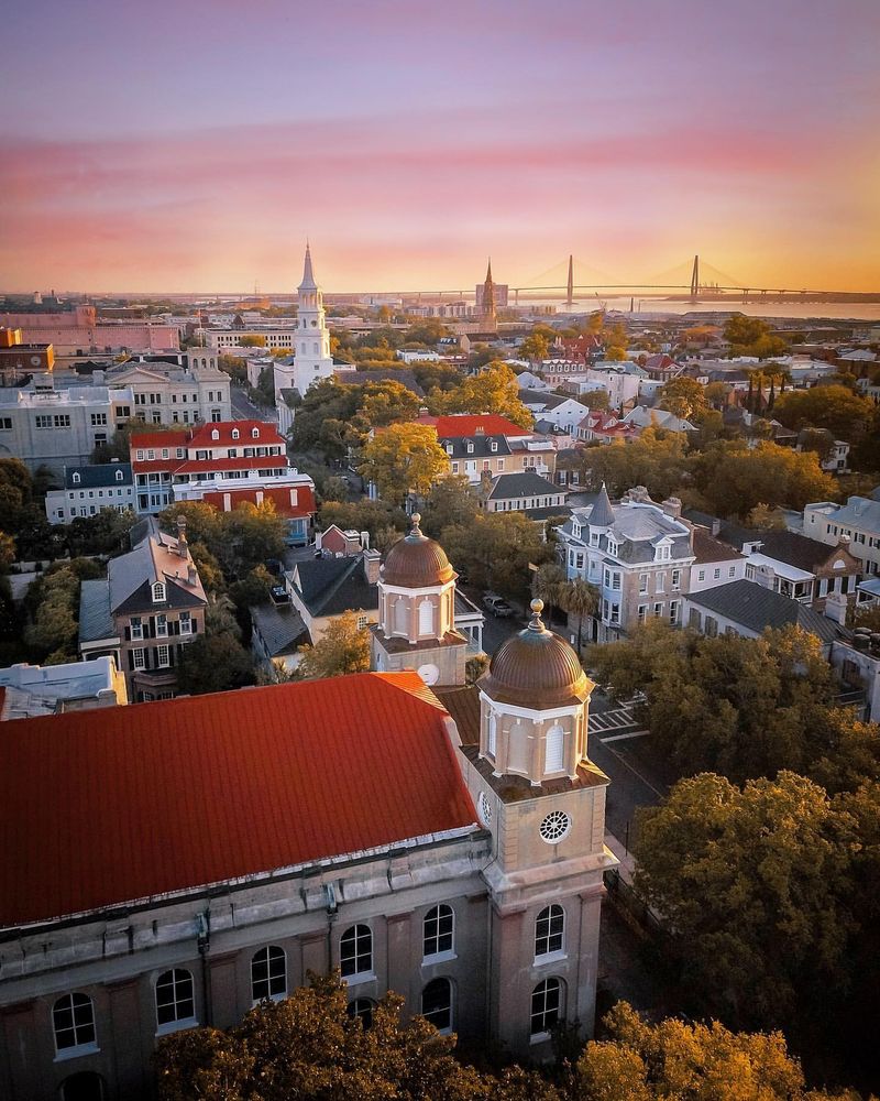 Suburban Sprawl Eliminates Wildflower Meadows