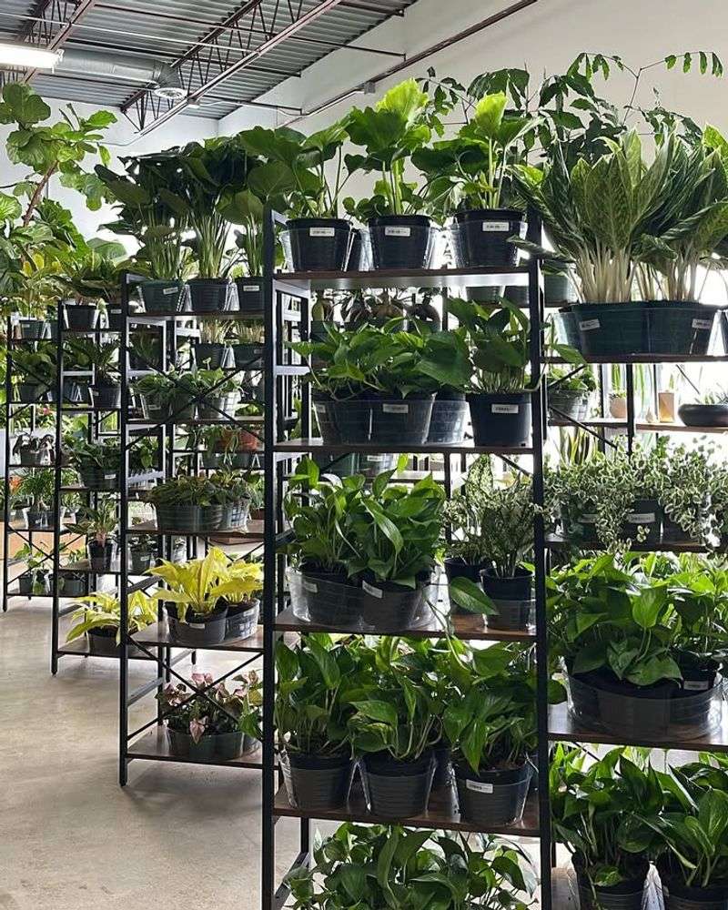 Educational Workshops Starting This Spring