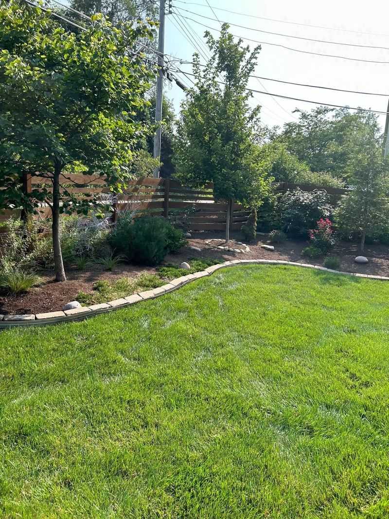 Fewer Weeds Competing for Space