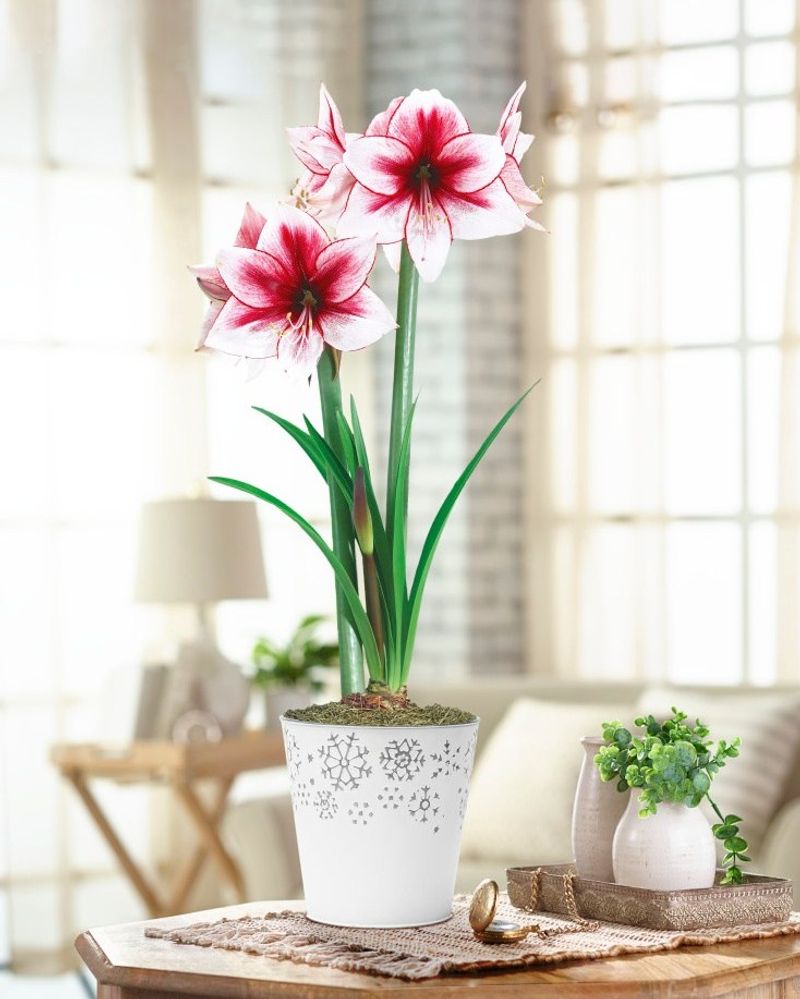 Instagram-Worthy Beauty On A Budget