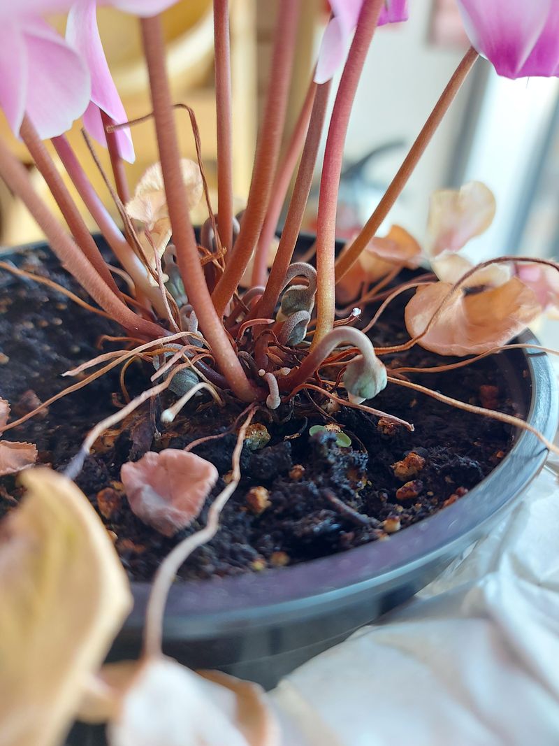 Protect From Drafts And Sudden Changes