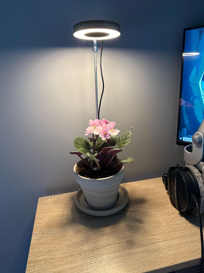 Supplement With Grow Lights